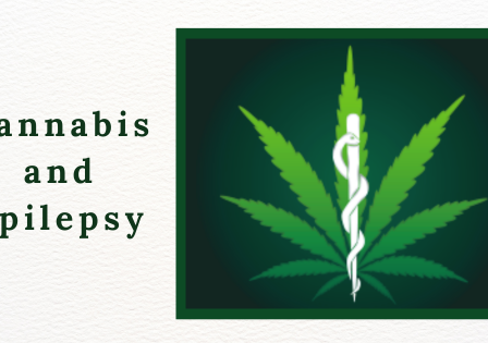 The Impact of Cannabis on Epileptic Seizures - Top Dawg Labs